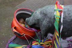 2009_02_22 carnavalsoptocht