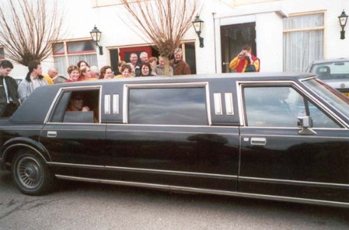 limo_tinus