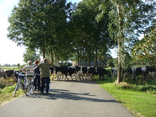 20070914 SeptemberFeesten Ruurlo (49)