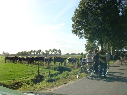 20070914 SeptemberFeesten Ruurlo (50)