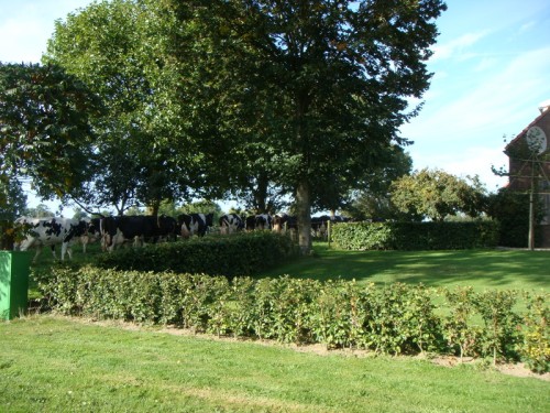 20070914 SeptemberFeesten Ruurlo (51)