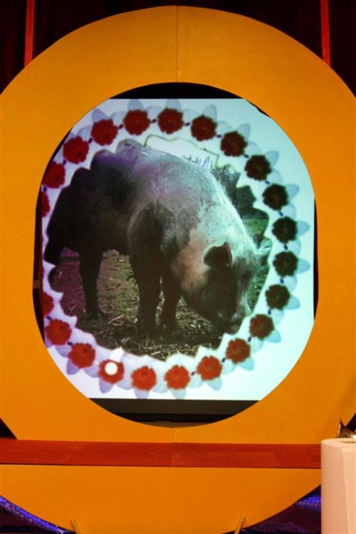 DDDA_Voorbereidingen (164)