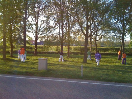 Afbeelding 032 (Large)