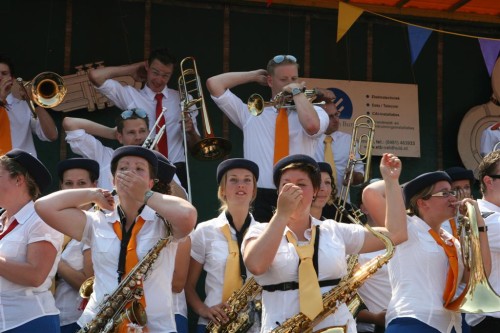 Bemmel2008 (1343)