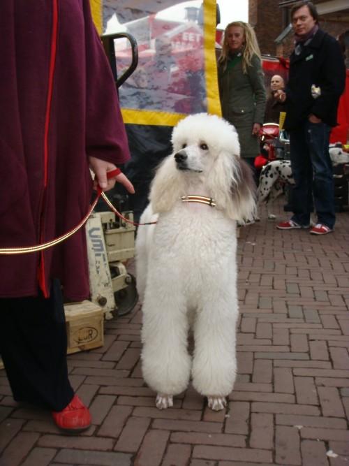 presentatietocht-wageningen-2009 (39)