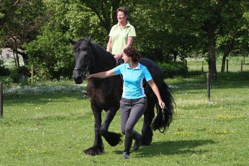 Annie_Paardrijles_0013