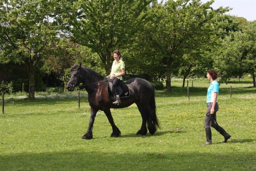 Annie_Paardrijles_0020