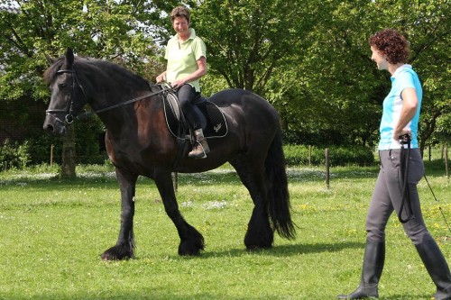 Annie_Paardrijles_0022