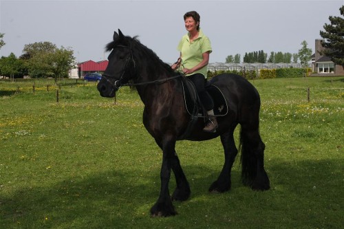 Annie_Paardrijles_0027