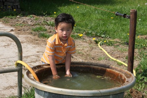 Annie_Paardrijles_0028