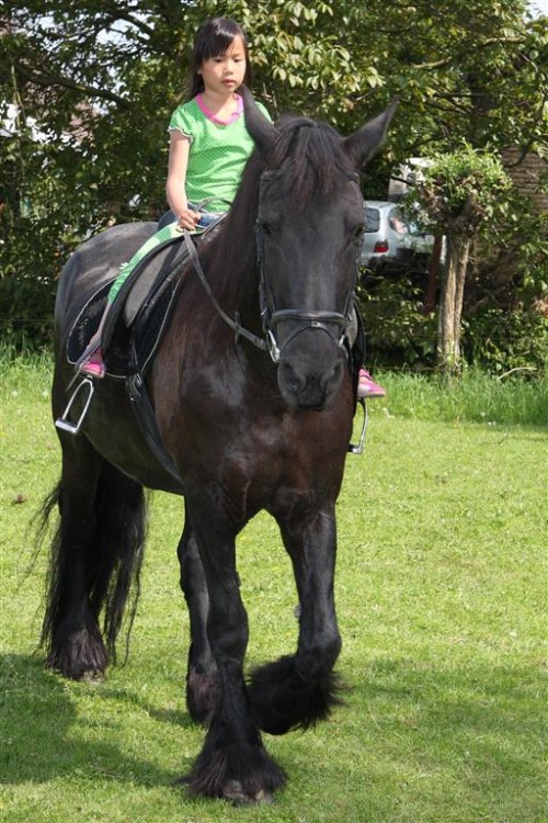 Annie_Paardrijles_0037