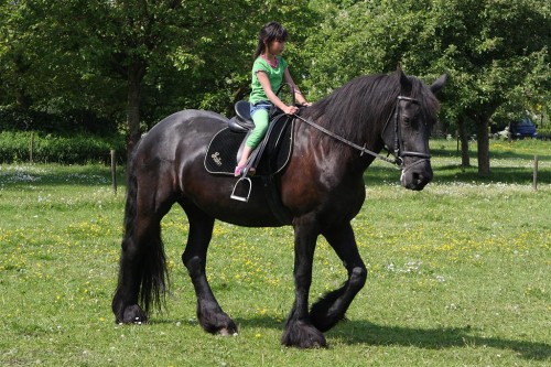 Annie_Paardrijles_0041