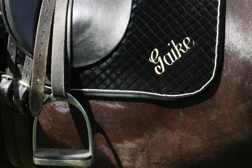 Annie_Paardrijles_0048