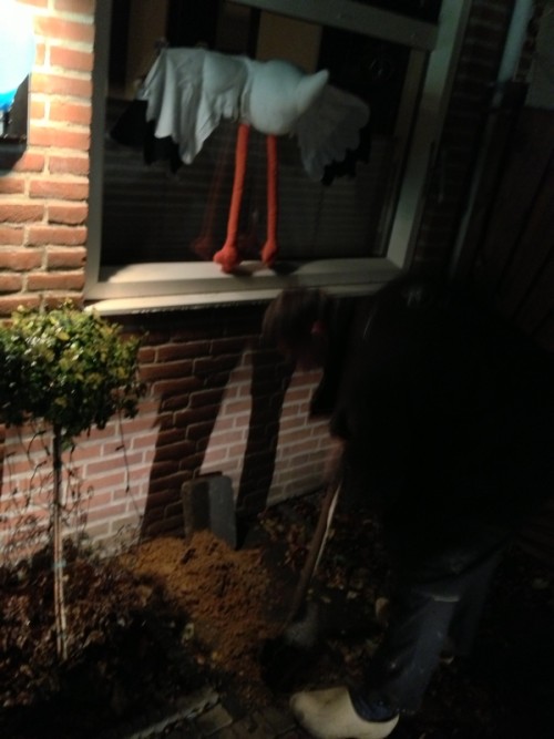 lentjes aan het graven