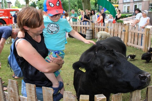 BemmelseDweildag2017_177