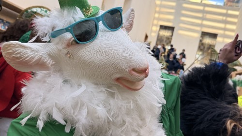 20260214_152036_9301