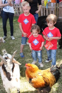 Bemmel2015_204